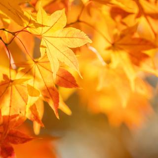 Z ŻYCIA SAMORZĄDU UCZNIOWSKIEGO